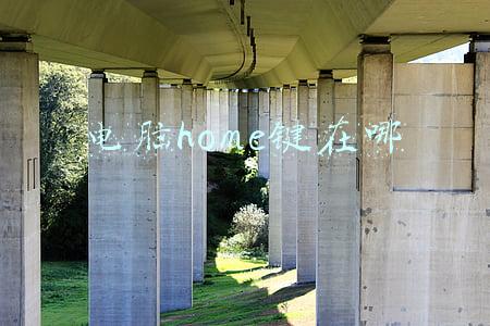 苹果电脑home键在哪(苹果home键怎么开)