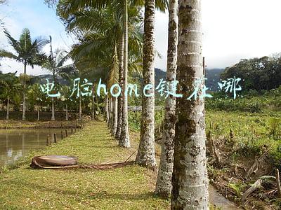 电脑home键在哪