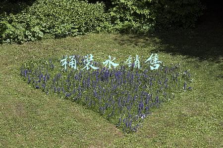 桶装水销售