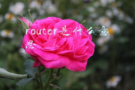 router是什么意思中文(网络安全“黑话”知多少？)