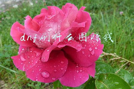 dnf刷什么图赚钱最快2021(DNF：高效率赚金币途径，这些搬砖摸金途径都别错过)