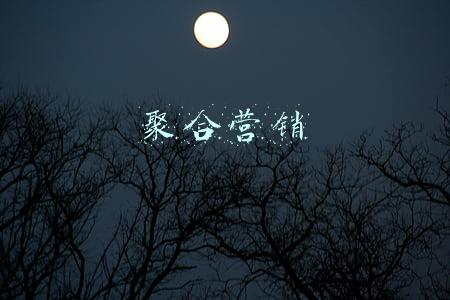 聚合营销是什么意思(带大家走进聚合支付，什么是聚合支付？)