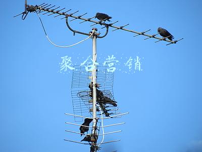 聚合营销