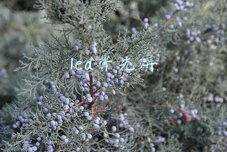 led背光屏幕(液晶屏拆卸与LED背光电路检修经验谈)