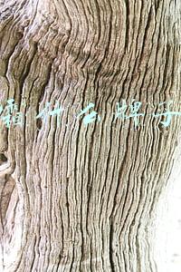 防晒霜什么牌子好(公认防晒效果超好的4个防晒霜，安耐晒上榜，但科颜氏更让人惊艳)