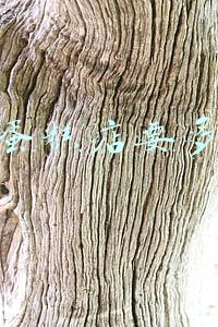 开一家蛋糕店需要投资多少：开一个蛋糕店多少钱