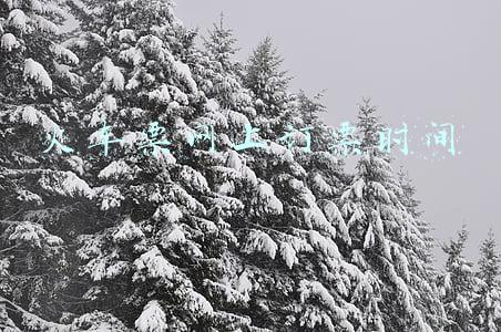 火车票网上订票时间开车前多久停售(火车票预售期调整为15天)