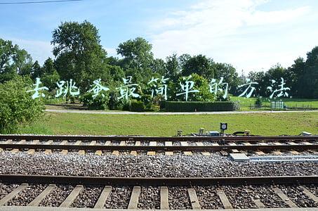 去跳蚤最简单的方法