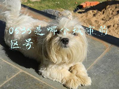 0525是哪个城市的区号(河南万胜建设公司工程造价咨询资质申报公示期遭舆情吐槽)