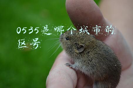 0535是哪个城市的区号