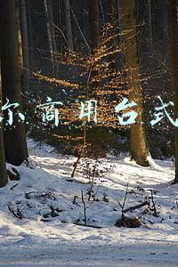 戴尔商用台式机怎么样(标准划一、兼容性、售后支持！戴尔商用塔式机体验)