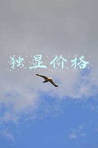 笔记本独显价格(笔记本面临更新换代，i5 9300H独显本大降价，不足6000元)