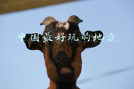 中国最好玩的地方是哪里旅游景点(最具中国代表性的4大景点，哪个是你最想去的？)