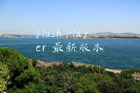 flashplayer最新版本下载(Adobe Flash Player 20.0.0.195测试版下载)