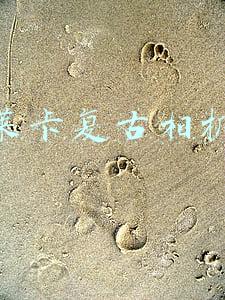 莱卡复古相机