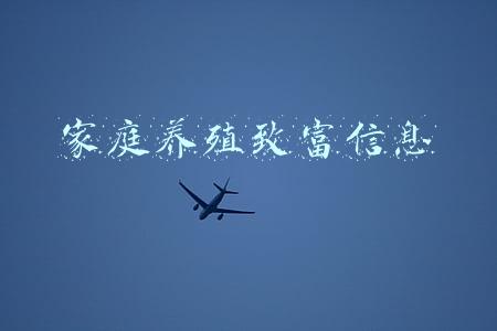 农业频道致富经养殖业(睢宁龙虾上市！养殖业带动村民跑出致富“加速度”)