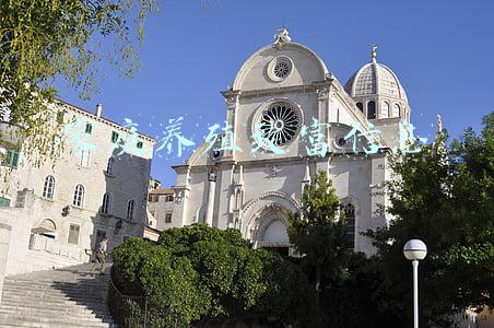 家庭致富小项目(“家庭小菜园”变身“致富园”)