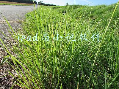 ipad看小说软件