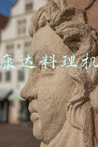 康达免耕播种机(2021上半年播种机关注度榜单发布！农哈哈领先)