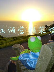 红酒营销模式(红酒行业怎样有效获客，打开销售市场，这5点需牢记)