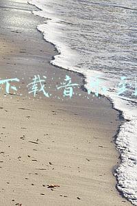 免费下载音乐到手机