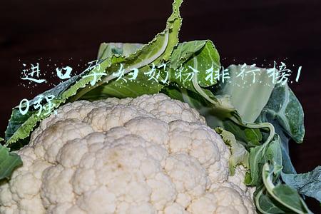 进口孕妇奶粉排行榜10强