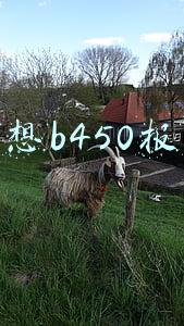 联想一体机b450(第三代锐龙还是第十代酷睿？谁才是处理器中端市场的更好选择？)