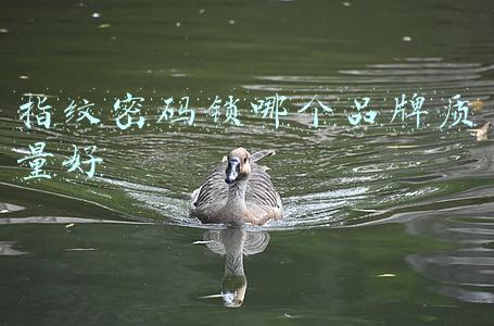 什么牌子的密码指纹锁性价比高(2021指纹锁推荐，指纹锁怎么选，最靠谱的指纹锁品牌推荐)