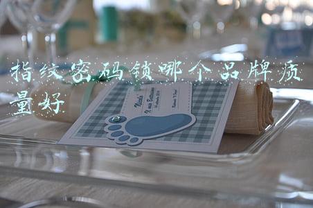 指纹密码锁哪个品牌好(2021智能锁推荐：智能锁什么品牌比较靠谱？智能门锁安全吗？)