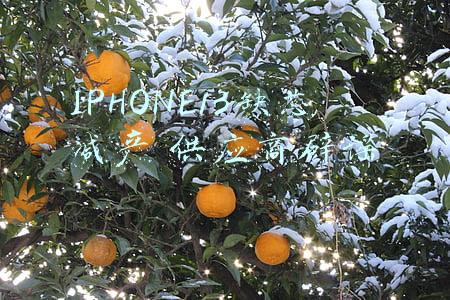 IPHONE13缺芯减产 供应商辟谣