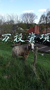 100万投资项目