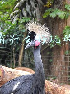 武汉有什么好玩的景点