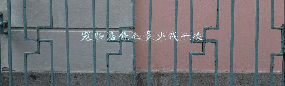狗狗修毛多少钱一次?-狗修毛多少钱一次