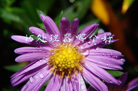 i5处理器哪个好