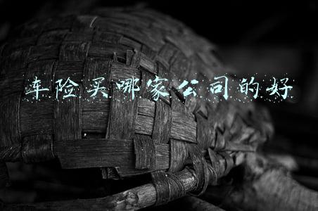 车险买哪家公司的好
