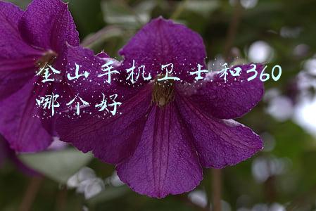 金山手机卫士和360哪个好