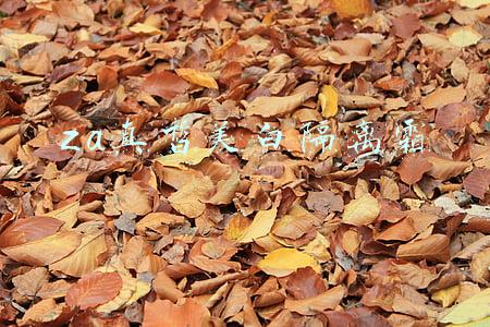 za新能真皙美白隔离霜好用吗(又能防晒又能美，Za新能真皙美白隔离霜棒棒哒！)