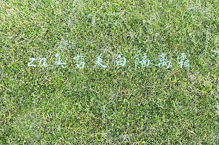 za的隔离霜好用吗(ZA美白隔离霜评测，拯救黑黄皮)