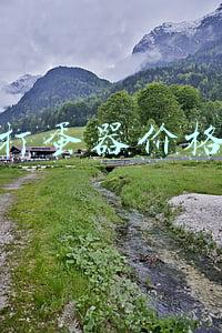 打蛋器哪里买(厨电差评第一名 买了吃灰不如提前避坑)