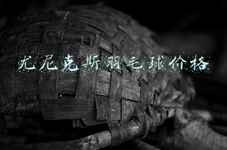 尤尼克斯羽毛球价格