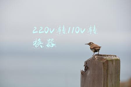 220v转110v转换器 长时间使用(220VAC与110VAC的转换电路特点及维修要点)