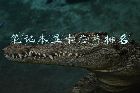 笔记本电脑显卡芯片(笔记本显卡坏了怎么办？)