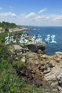 机器编程