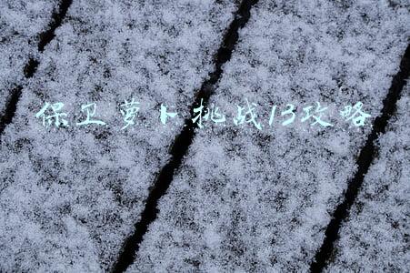 保卫萝卜挑战13关攻略(保卫萝卜3集市第十三关通关详细解析)