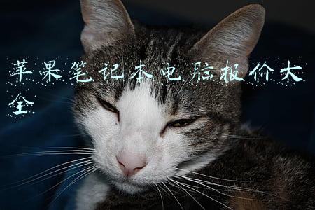 苹果笔记本电脑报价大全
