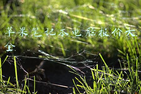 苹果官网笔记本电脑报价最新报价(手慢无：苹果M1芯片笔记本降至6949元)
