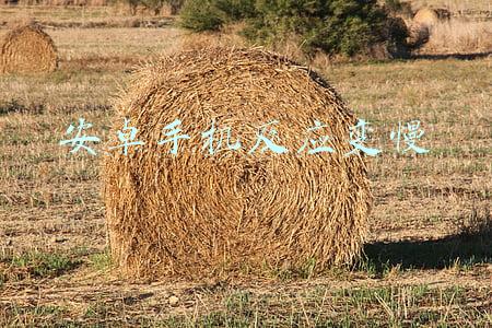 安卓手机反应变慢