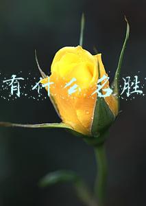 北京有什么名胜古迹