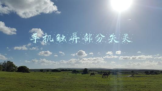 曲屏手机触屏部分失灵(“曲面屏”手机颜值那么高，有人却不想用？只因这三大硬伤！)