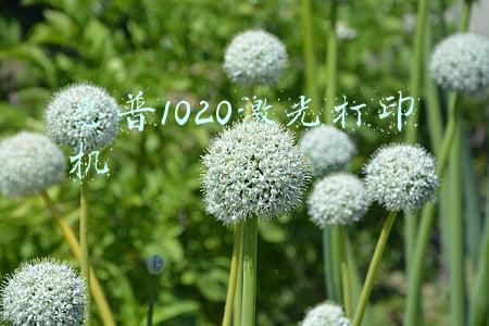 惠普1020激光打印机